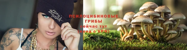 2c-b Беломорск